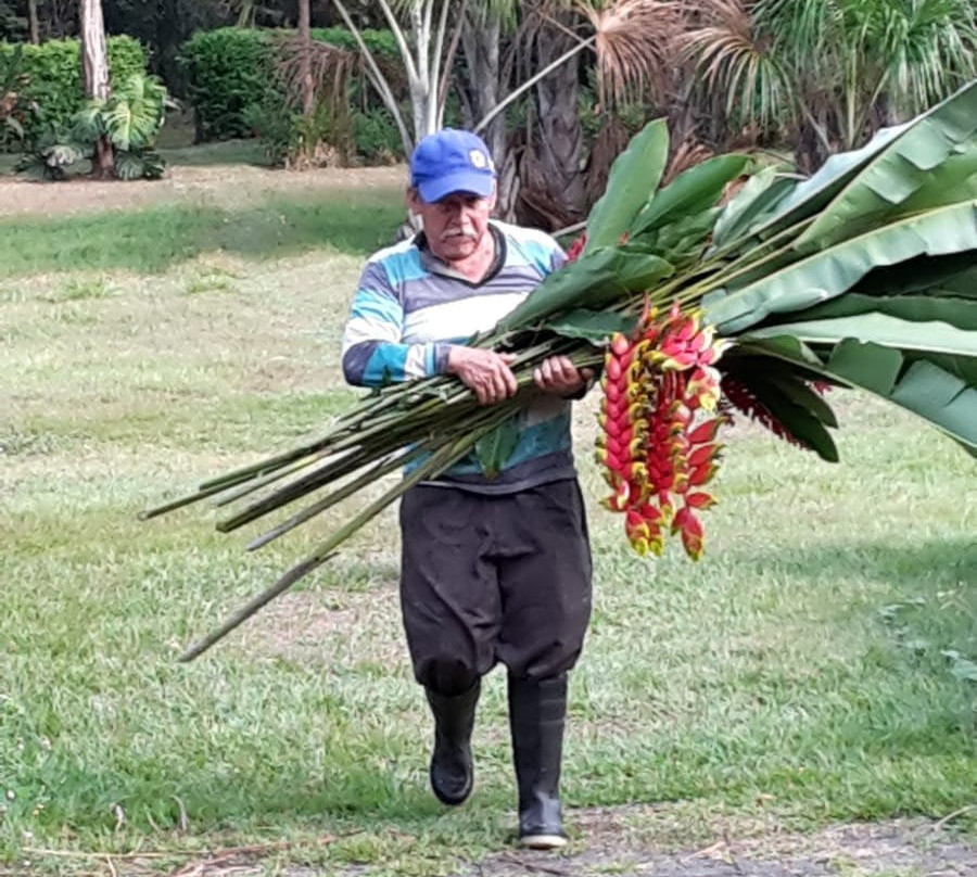 Hotel Cinaruco Caney主图