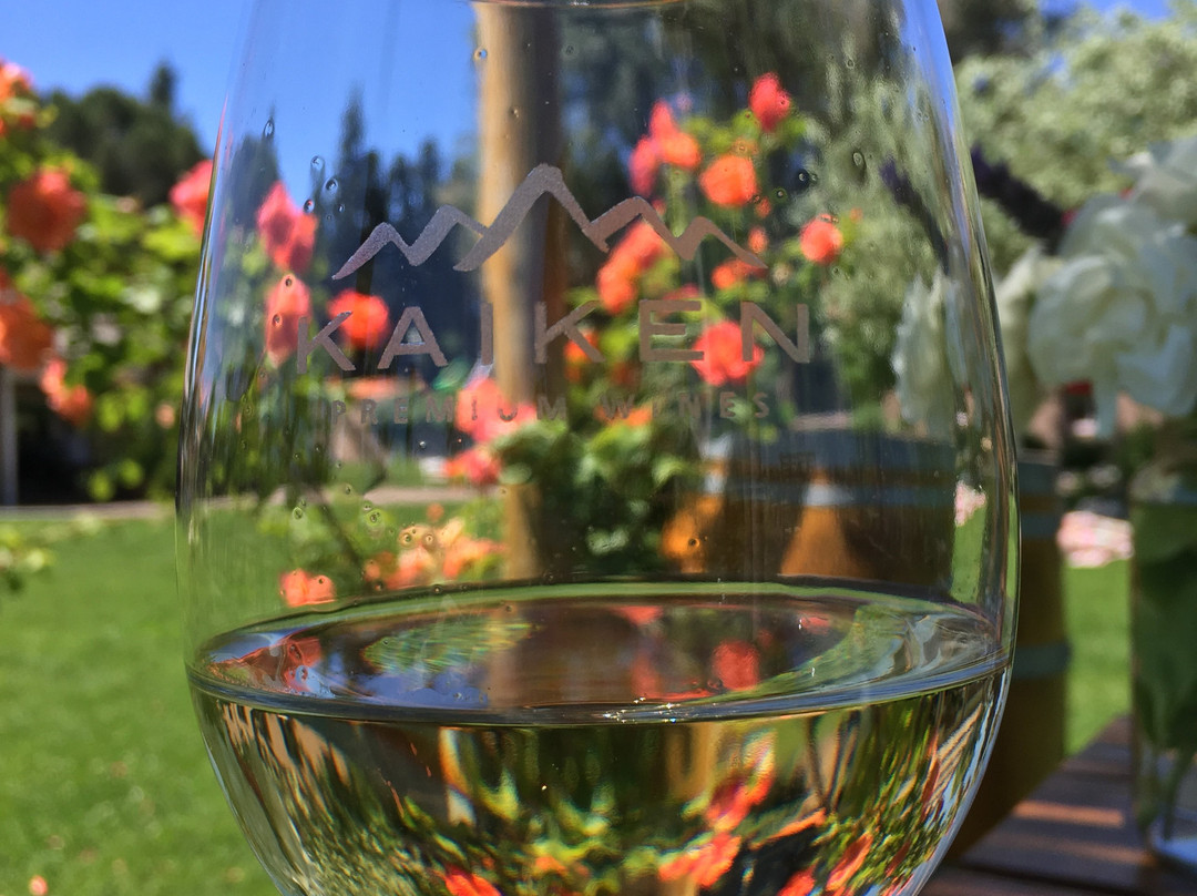 Vintuition Tours-门多萨必去景点