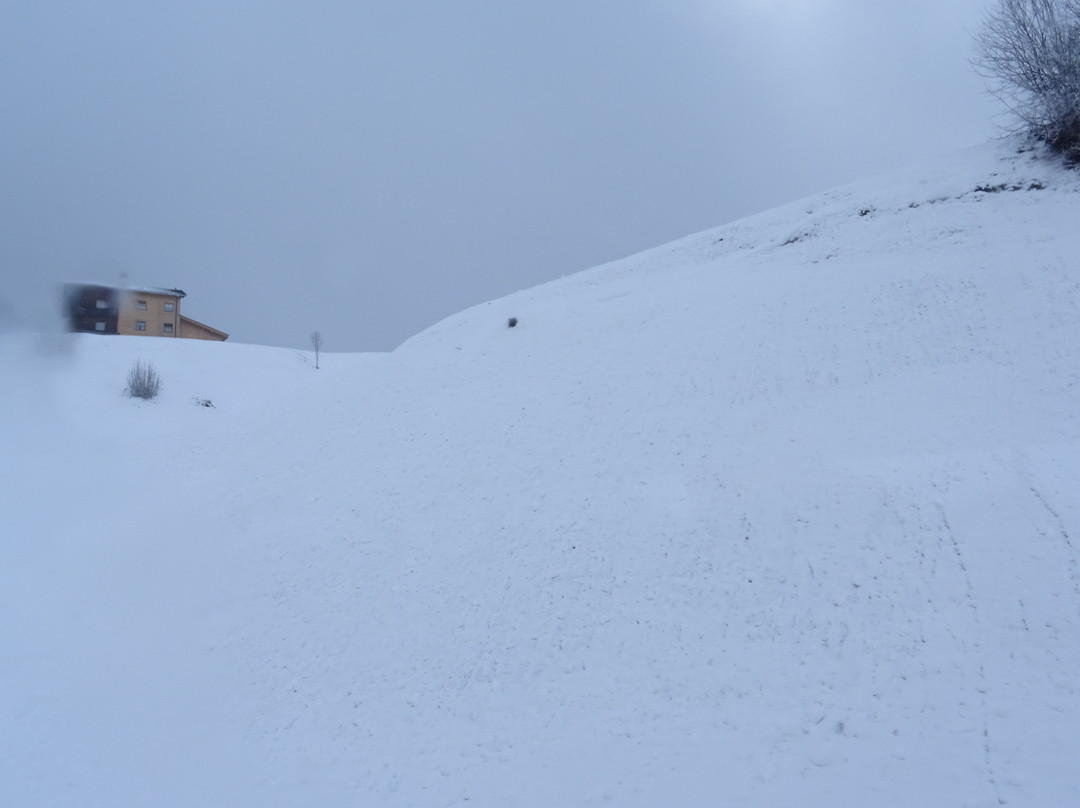 Erlebnis - Bummelbahn-尼德豪必去景点