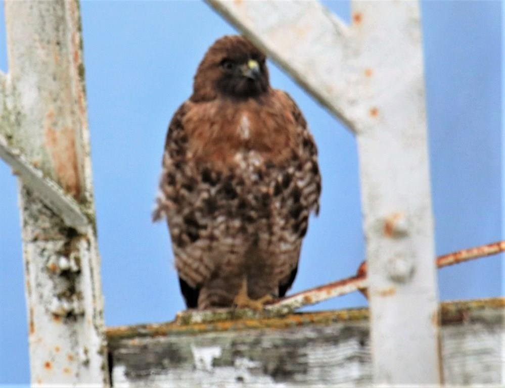 Brannan Island State Park-Rio Vista必去景点