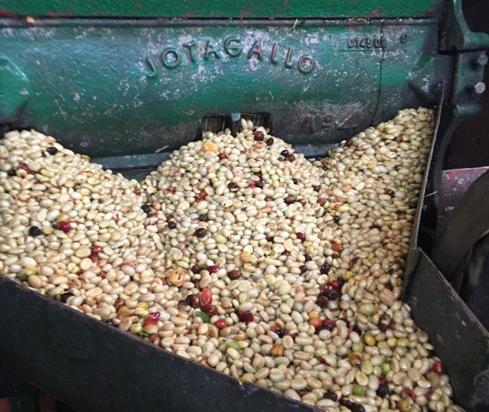 Cafe Hacienda Horizontes-Marsella必去景点