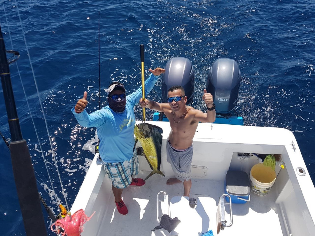 Yellowfin Sportfishing Charters景点图片