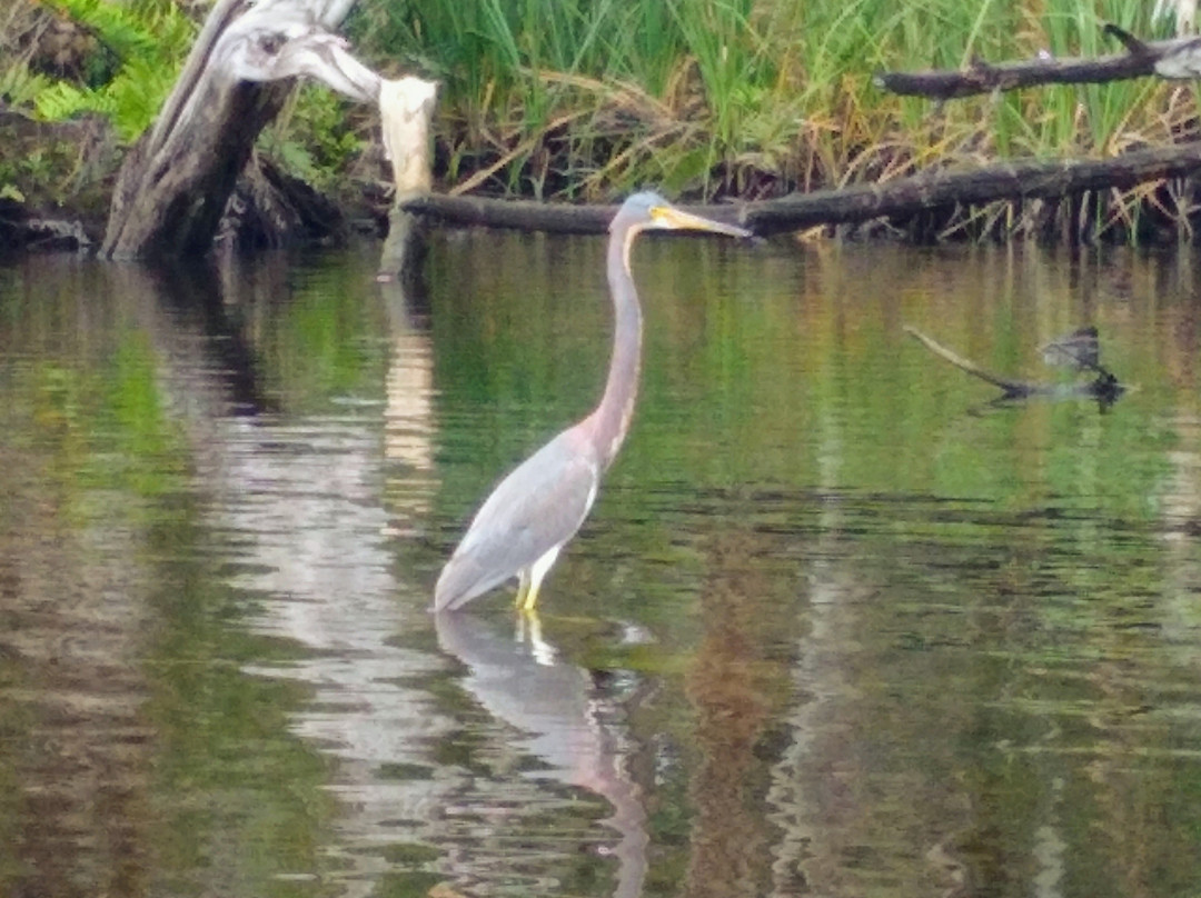 Osprey Bay Outdoors-克利尔沃特必去景点
