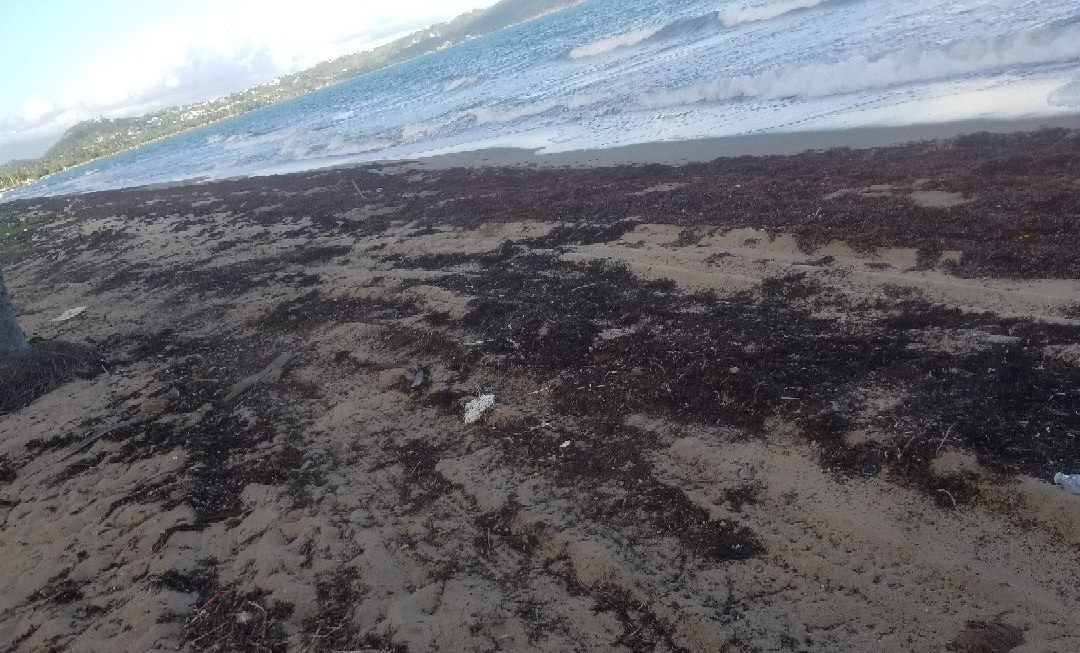 Playa Lucia景点图片
