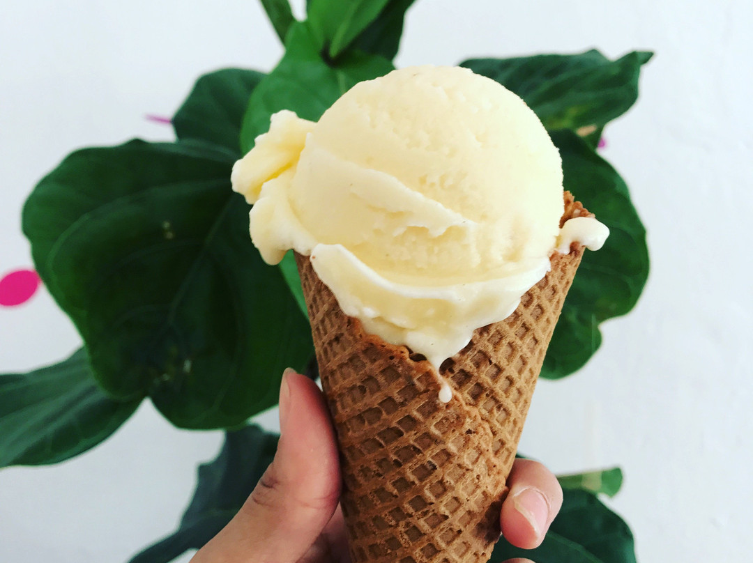 Peccas Helado Artesanal