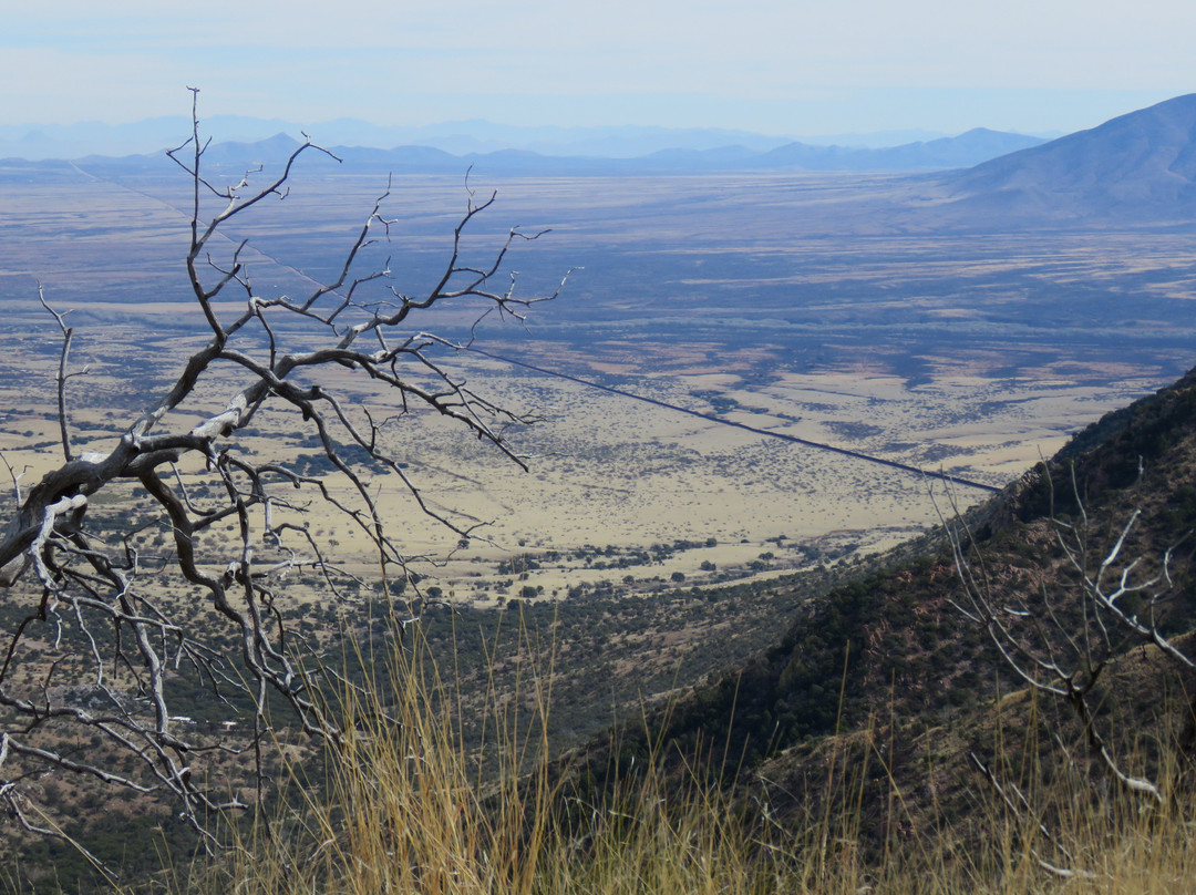 Coronado National Memorial景点图片