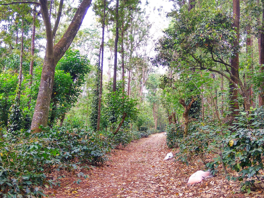 Thanmaya Homestay主图