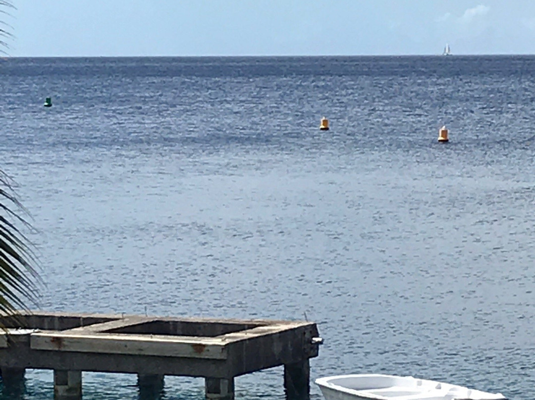 Club de Plongée Batelière-Schoelcher必去景点