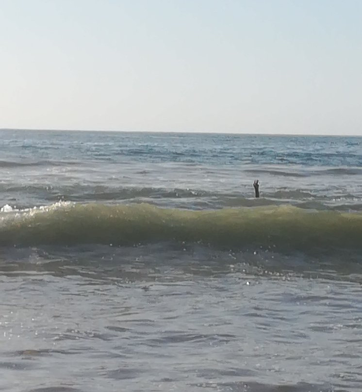 Playa Penuelas-Coquimbo必去景点