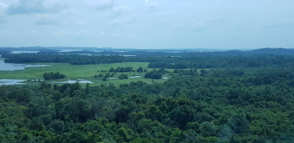 Best Western Premier Panbil主图