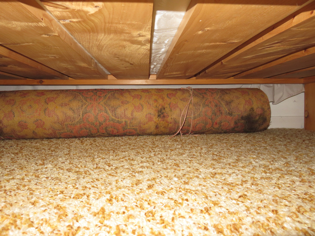 Herbertville Inn主图