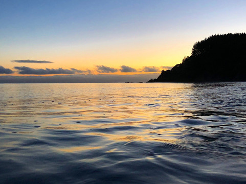 Tawhitokino Regional Park-奥克兰必去景点