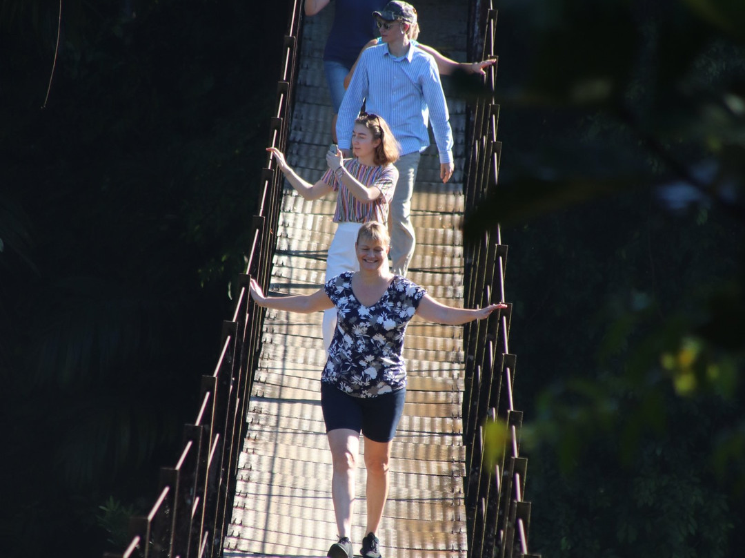 Sri Lanka Day Tours-瓦勒迦玛必去景点