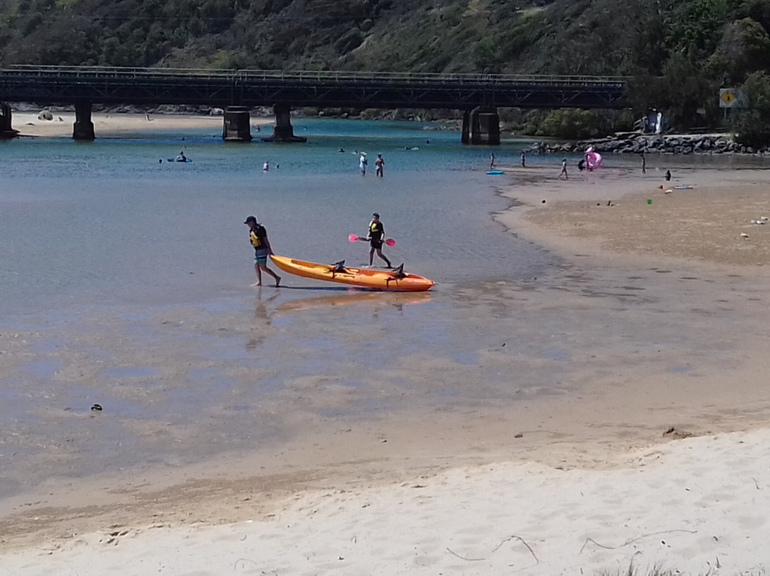 Boambee Creek Reserve-Sawtell必去景点