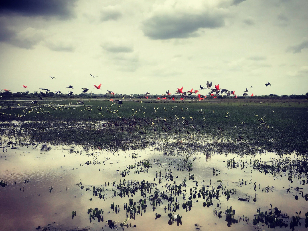 Ecolodge Juan Solito主图