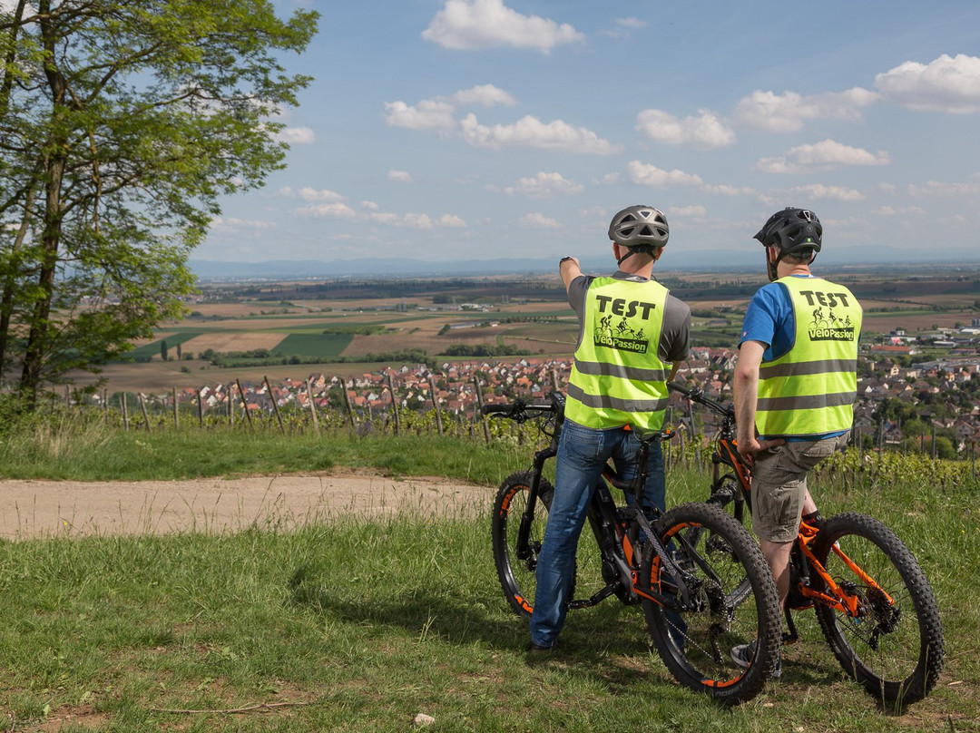 Alsace Velo Passion-马兰海姆必去景点