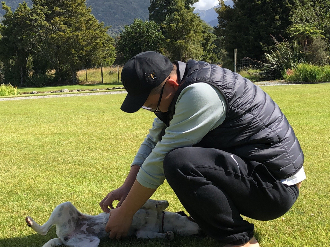 映像小屋旅馆主图