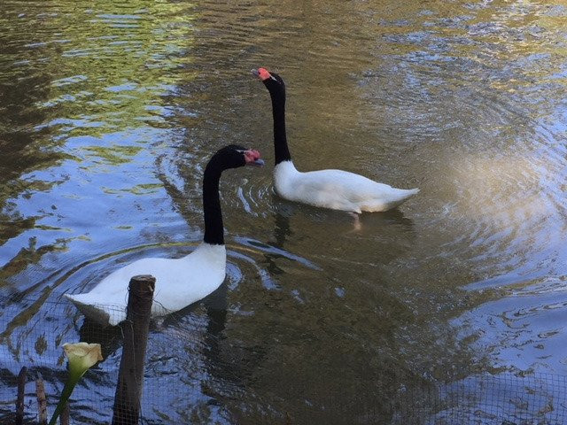 Casa Real Hotel at Santa Rita Vineyards主图