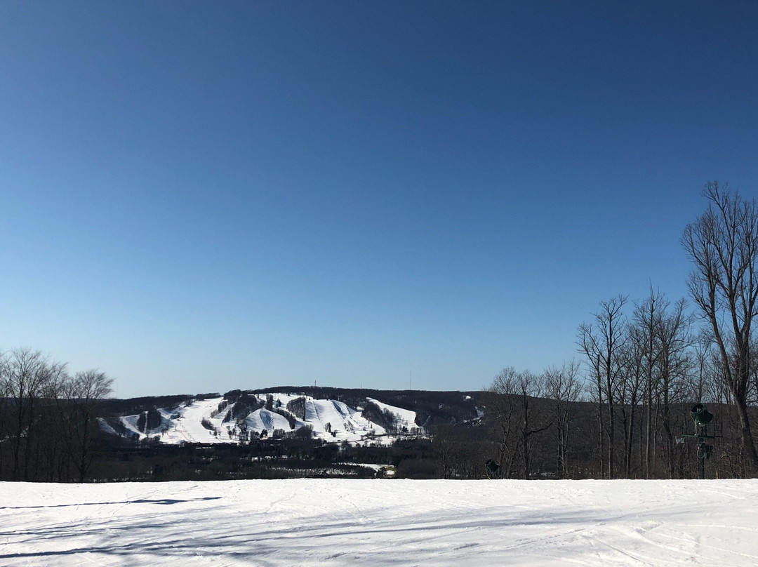 Nub's Nob-Harbor Springs必去景点