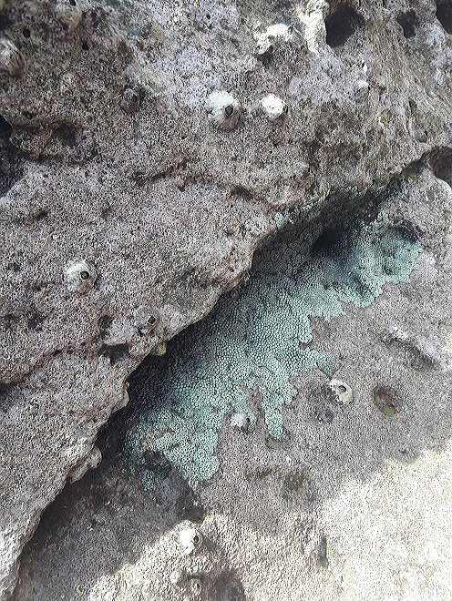 Isola dell'Amore Watamu-瓦塔木必去景点