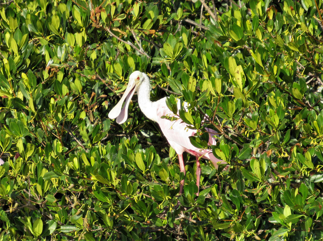 Gulf Island Tours-恩格尔伍德必去景点