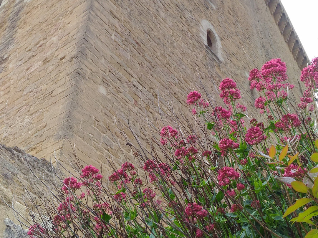 Office de Tourisme de Châteauneuf-du-Pape景点图片