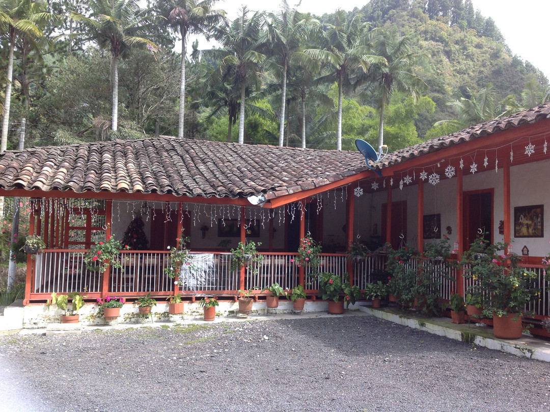 Cocora酒店住宿-Hostal Rio Arabia