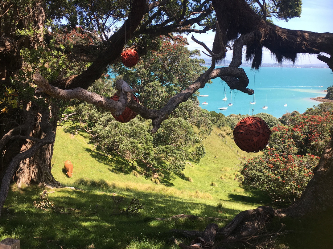 WaiTiki Tours-怀系奇岛必去景点