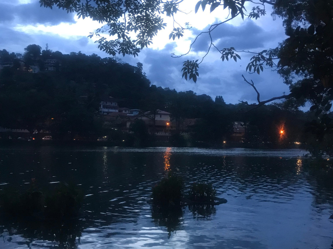 Beezerland景点图片
