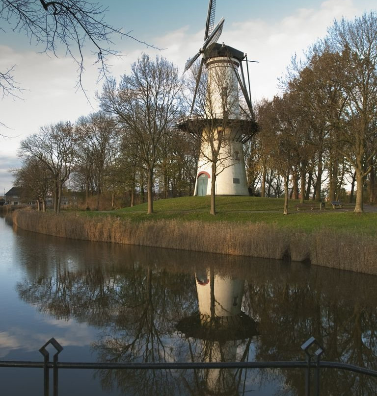 Molen De Hoop-Tholen必去景点