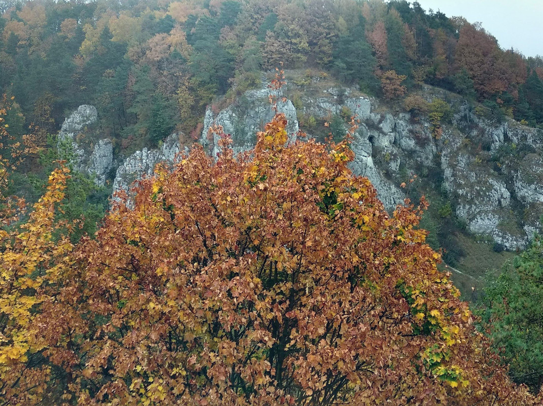 Bolechowicka Valley景点图片