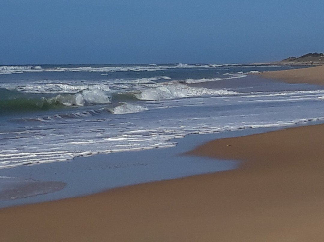 El Palmar-加的斯市必去景点