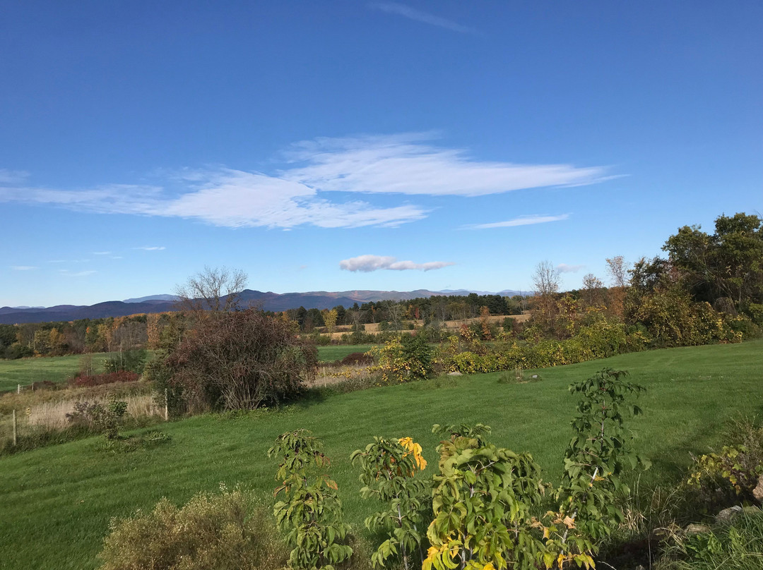 Whitford House Cottage主图