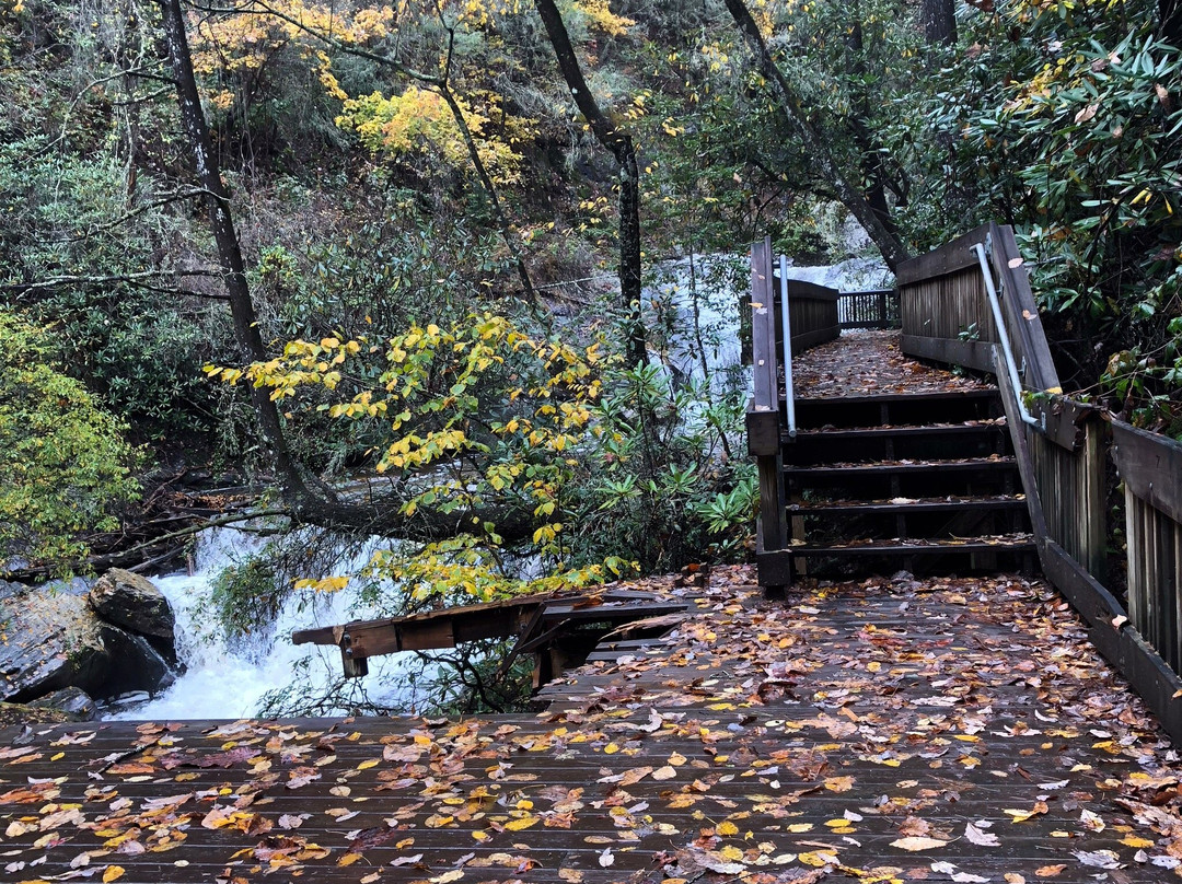 Dukes Creek Falls Trail景点图片