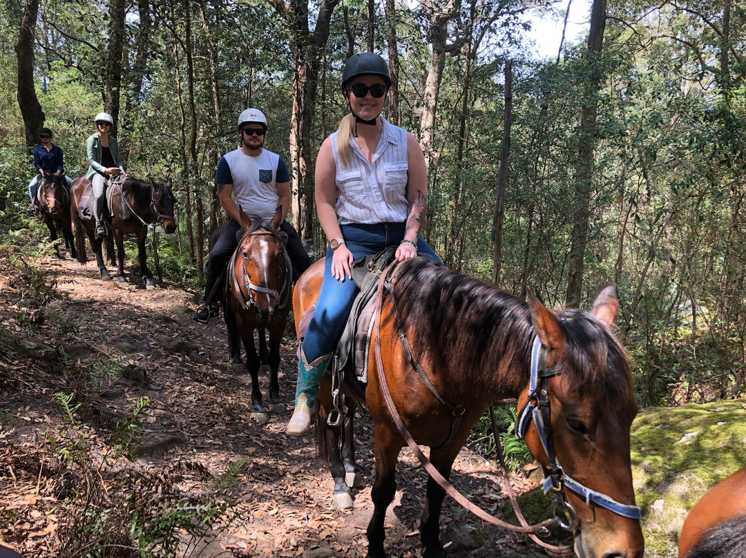 Man from Kangaroo Valley Trail Ride-袋鼠谷必去景点