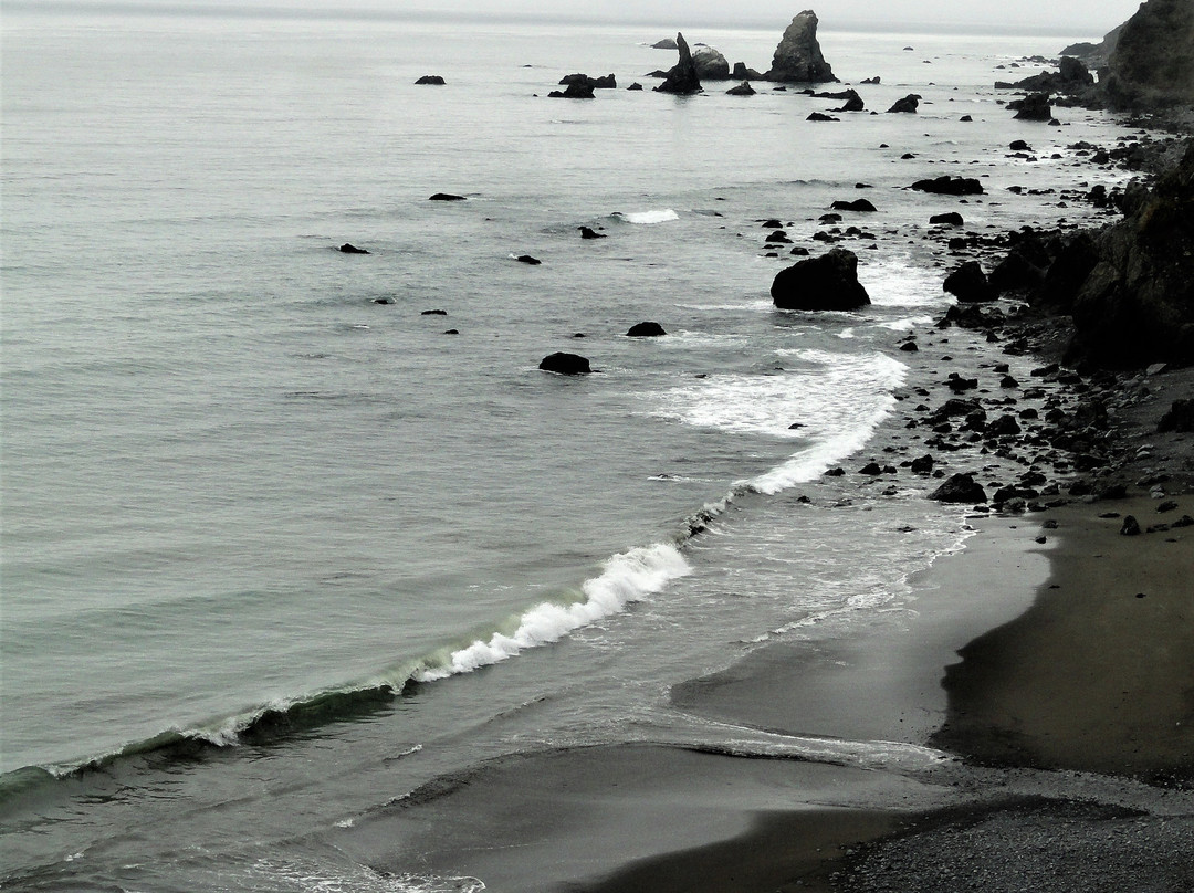 Westport-Union Landing State Beach景点图片