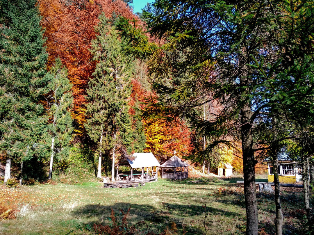 Zacharovannyye Karpaty