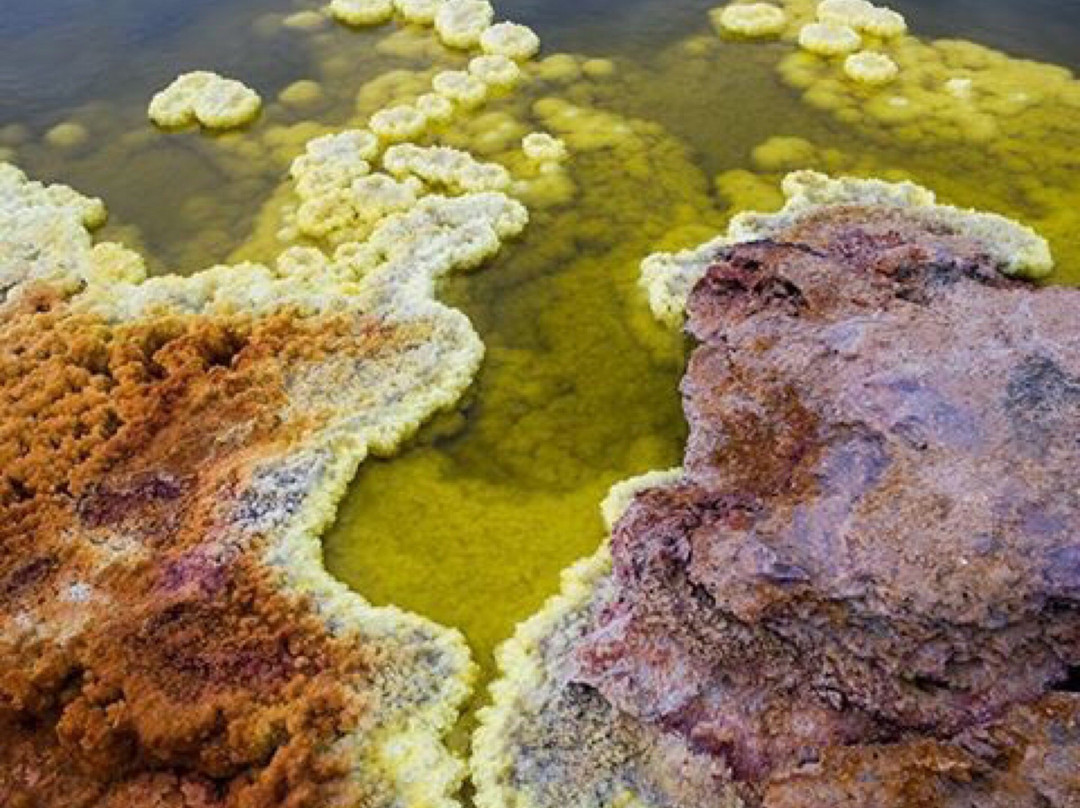 Ethio Afro Tours - Day Tours-亚的斯亚贝巴必去景点