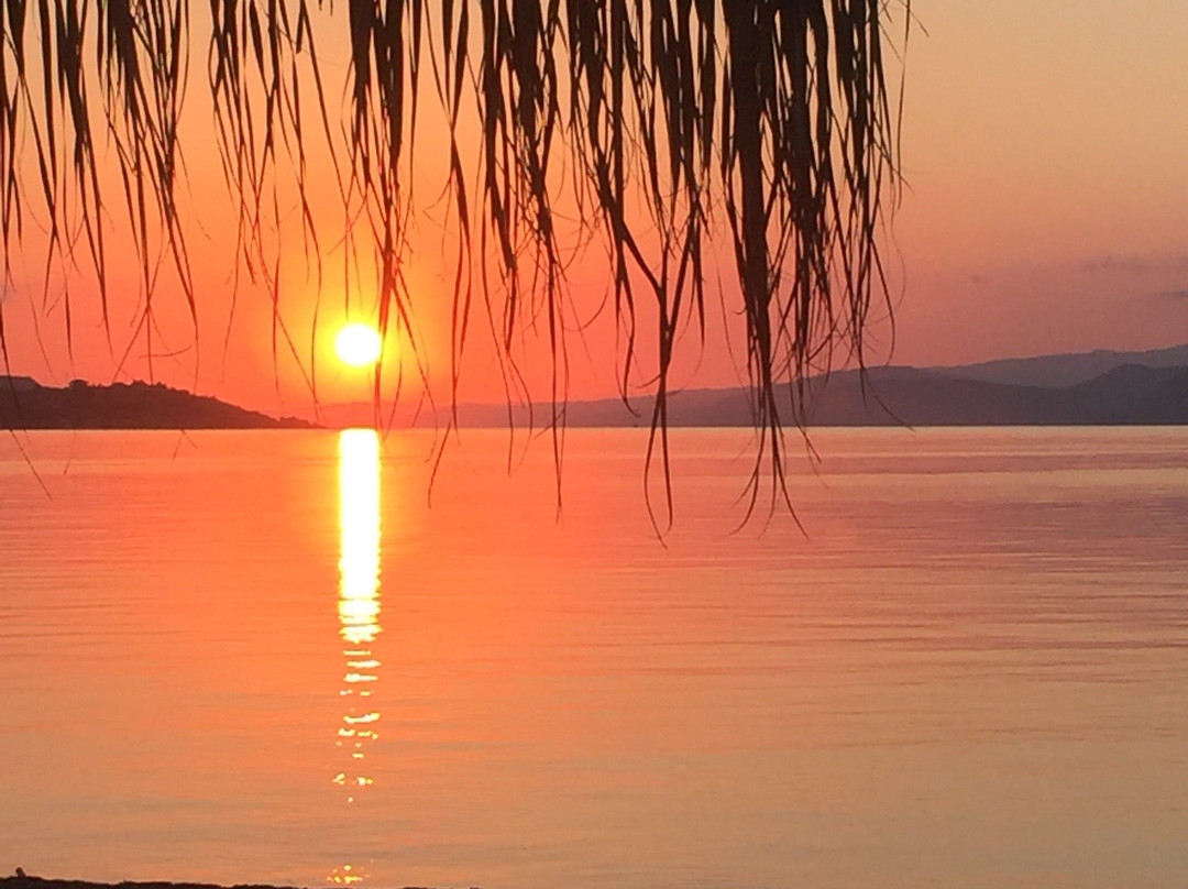 Surf Camp Raches-Raches必去景点