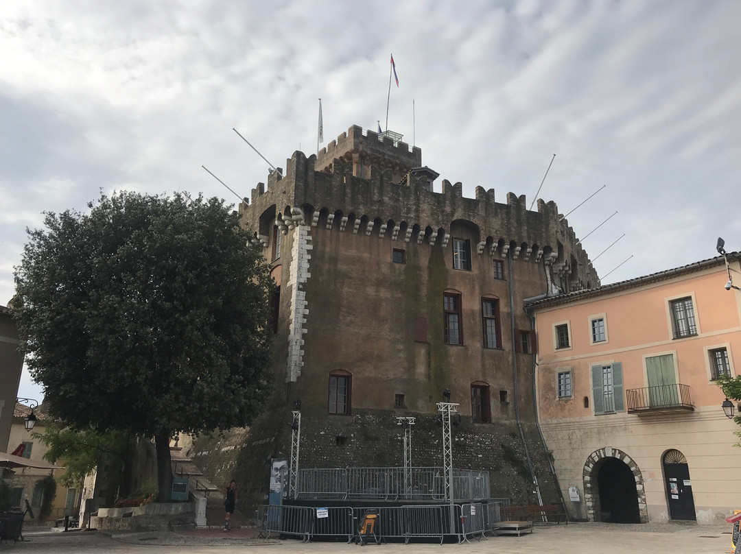 Château-Musée Grimaldi景点图片