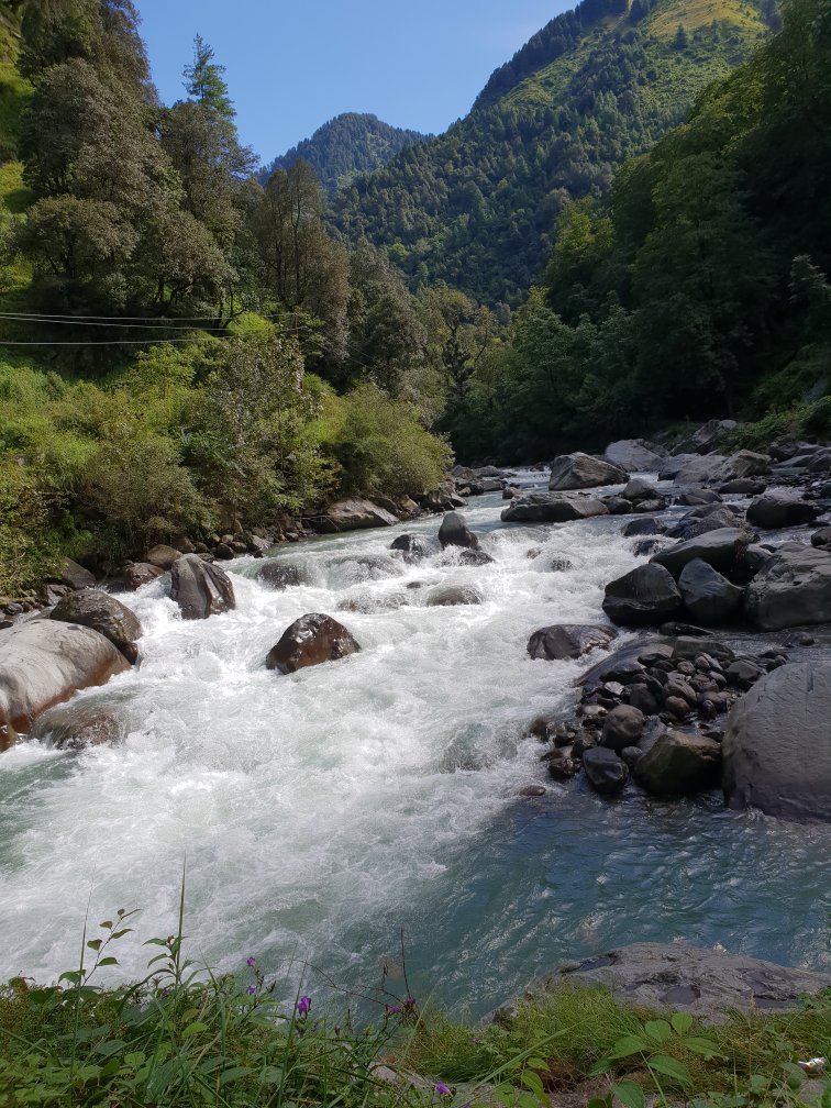 River View Homestay at Barot  Himachal Pradesh-官方