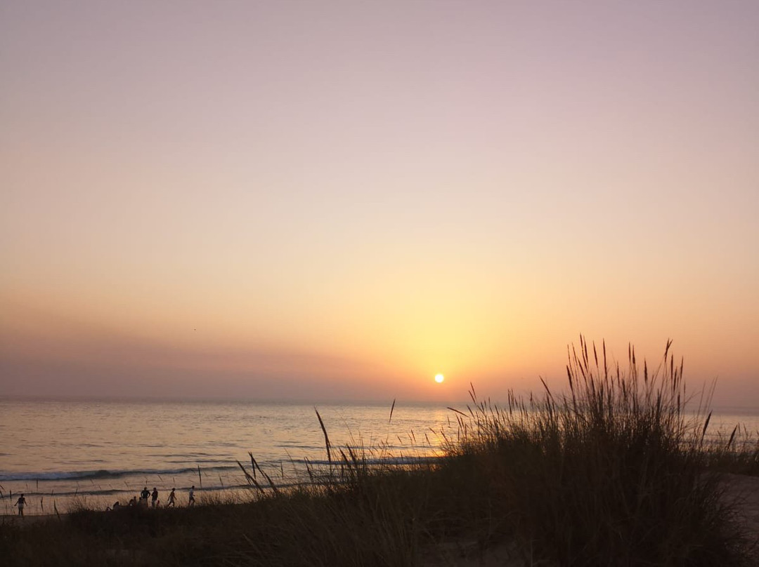 Praia da Morena景点图片