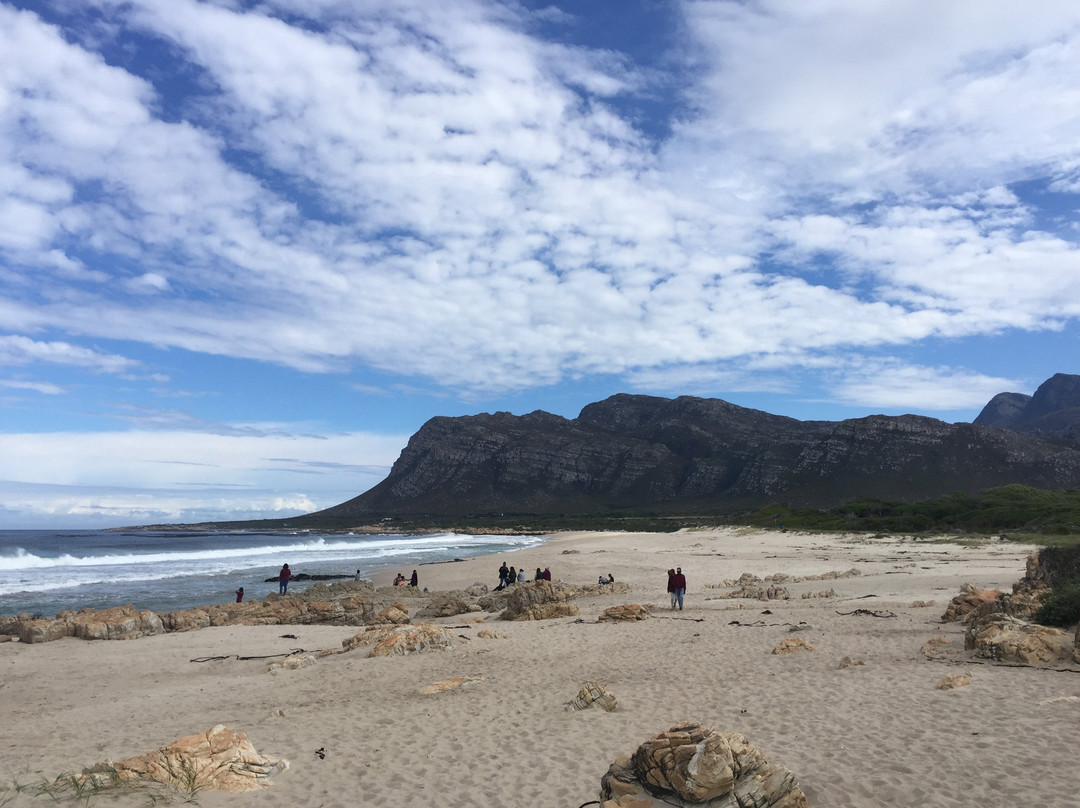 Kleinmond Beach景点图片