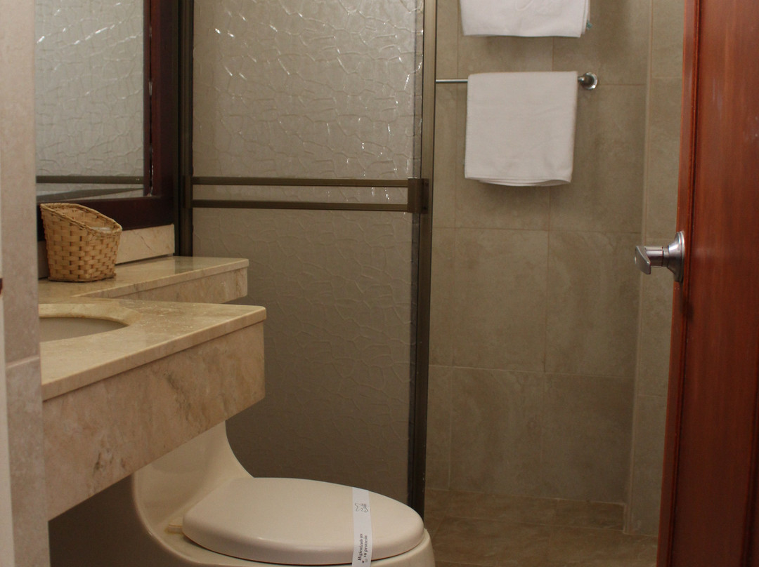 Hotel Aeropuerto Guaviare主图