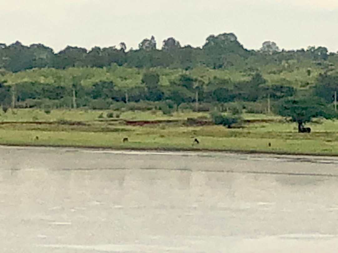Hesaraghatta Lake-班加罗尔必去景点