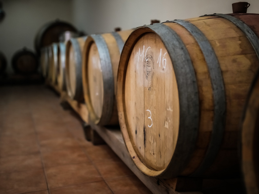 Provic Winery景点图片