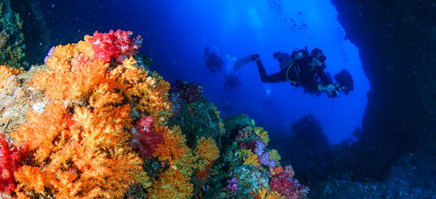 Similan Diving Safaris景点图片