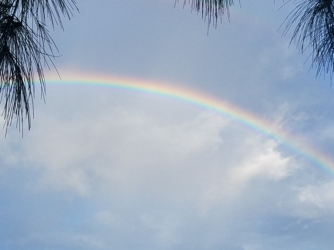 Chun's Reef Beach-哈雷瓦必去景点