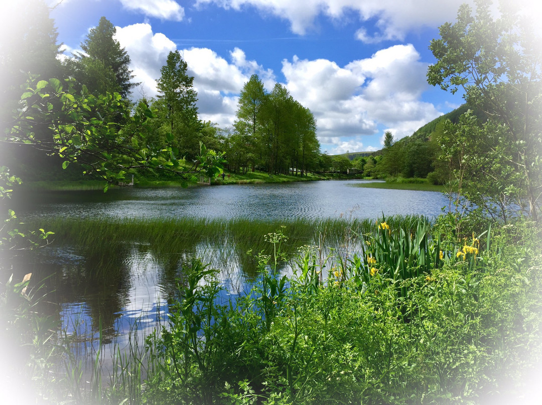 Cwmtillery Lakes景点图片