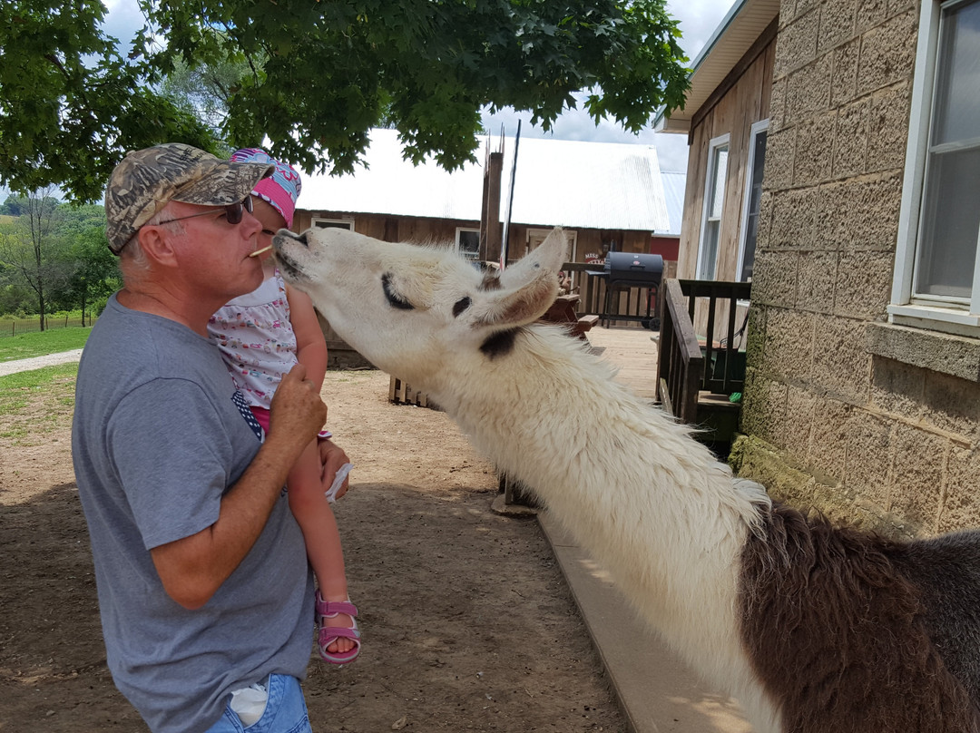 Where Pigs Fly Farm & Pigs Aloft Museum-Linn必去景点